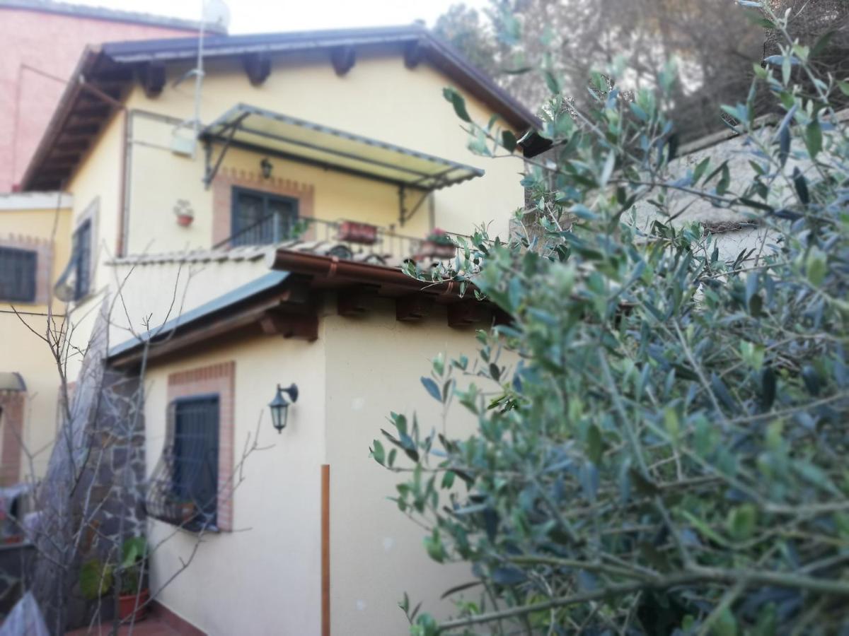 切萨诺Il Pettirosso别墅 外观 照片